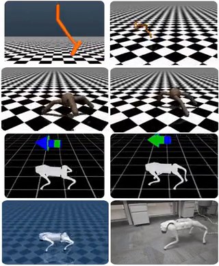 Learned behaviors on Hopper, HalfCheetah, Ant, and simulated and real Unitree Go2